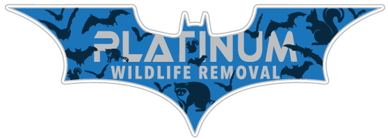 Animal Removal Kosciusko County